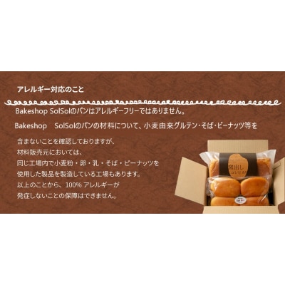 グルテンフリー 米粉食パン 窯出しコシヒカリ 3本　H083-018