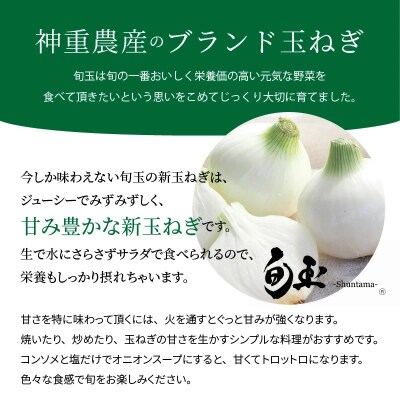 容量100kg 新玉ねぎ 生がおいしい「旬玉」　H105-050