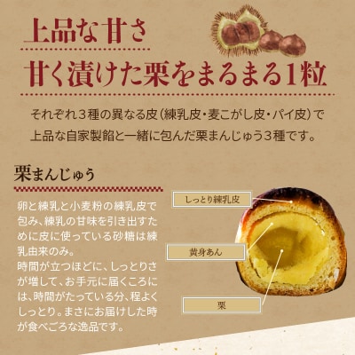 栗ざんまい!栗まんじゅう3種類食べ比べセット　H149-012
