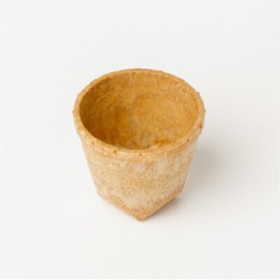 食べられるコップ「もぐカップ」プレーン味 Mサイズ 10個入り　H068-039
