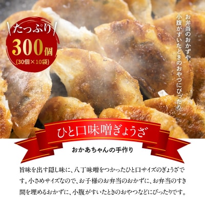 居酒屋のおかあちゃん手作り ひと口味噌ぎょうざ 300個(30個×10袋)　H136-030