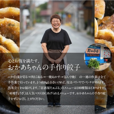 【3ヶ月定期便】居酒屋のおかあちゃん手作り ひと口味噌ぎょうざ 120個　H136-040