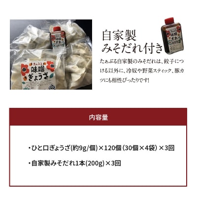【3ヶ月定期便】居酒屋のおかあちゃん手作り ひと口味噌ぎょうざ 120個　H136-040
