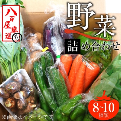 目利きのプロ 八百屋厳選 野菜詰め合わせセット(8～10種類お届け)　H151-010