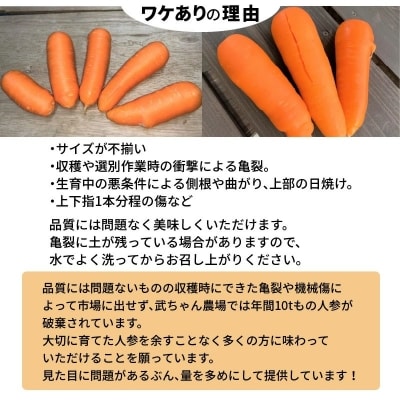 【食品ロス削減】甘さと栄養で体も笑う武ちゃん農場の“ハッピーキャロット” 5kg　H095-022