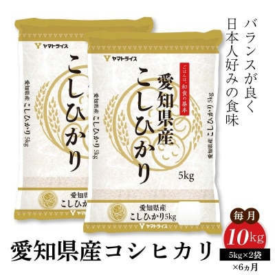 愛知県産コシヒカリ 10kg(5kg×2袋)　※定期便6回　H074-662