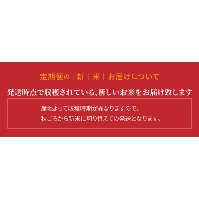 愛知県産コシヒカリ 10kg(5kg×2袋)　※定期便6回　H074-662