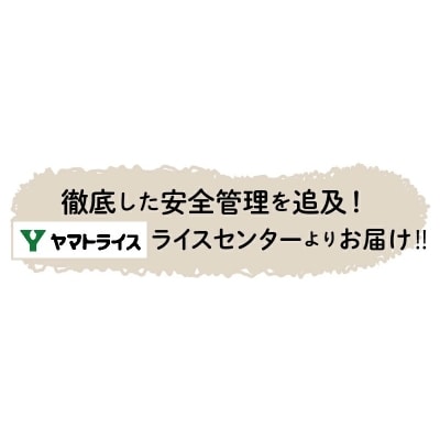 愛知県産コシヒカリ 5kg　※定期便12回　　H074-663