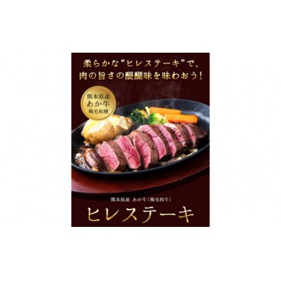 あか牛(褐毛和牛) ヒレステーキ 450g フィレ ヒレ《90日以内に出荷予定(土日祝除く)