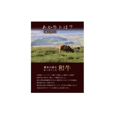 あか牛(褐毛和牛) ヒレステーキ 450g フィレ ヒレ《90日以内に出荷予定(土日祝除く)