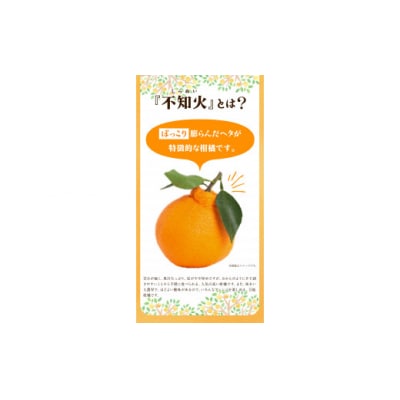 森田果樹園の不知火 5kg《2027年2月中旬-4月下旬頃出荷》