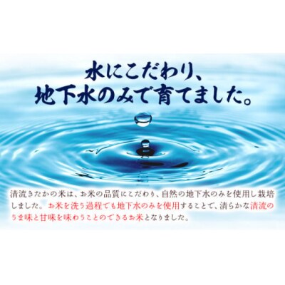 令和7年産 新米 無洗米 清流きたかの米 5kg