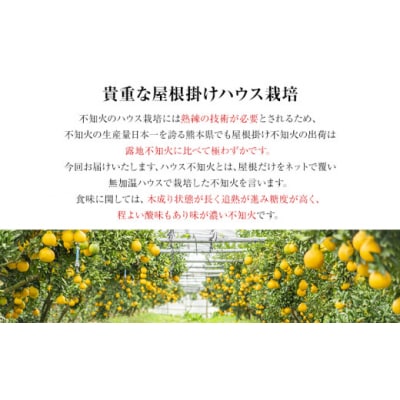 福岡農園 不知火 2kg