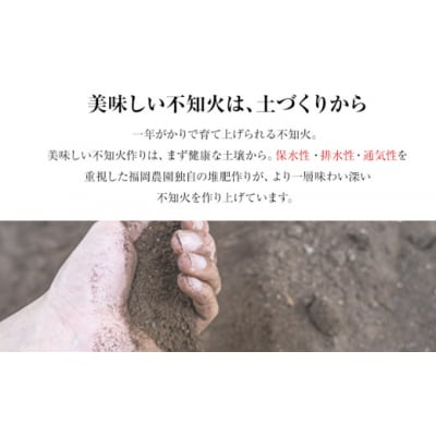 福岡農園 不知火 2kg