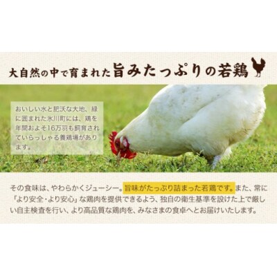 熊本県産 若鶏むね肉 約2kg/もも肉 約2kg 各1袋《30日以内に出荷予定(土日祝除く)》