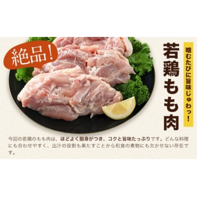 熊本県産 若鶏むね肉 約2kg/もも肉 約2kg 各1袋《30日以内に出荷予定(土日祝除く)》