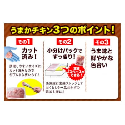 【12ヶ月定期便】うまかチキン 全パックもも肉セット 1回:合計3.1kg 合計 約37.2kg