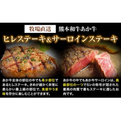 熊本和牛あか牛 極上 ヒレ & サーロインステーキ セット 550g ヒレステーキ 150g×1枚