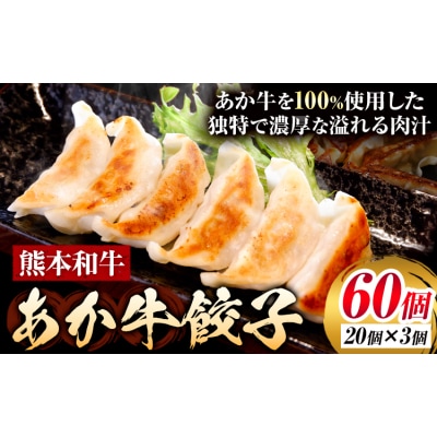 熊本和牛 あか牛 餃子 60個 ( 20個 × 3 ) 道の駅竜北