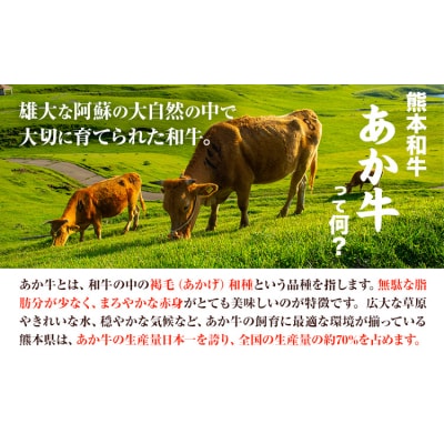 あか牛丼セット 道の駅竜北