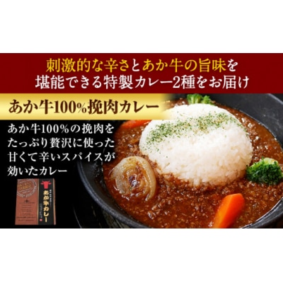 あか牛 カレー 詰め合わせ セット 2種 4食 セット 道の駅竜北