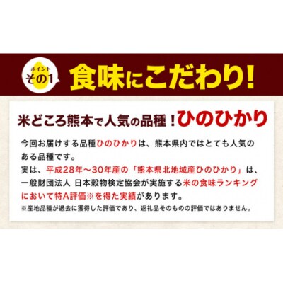 令和7年産 無洗米 【12ヶ月定期便】 ひのひかり 10kg