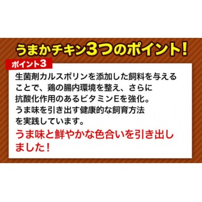 うまかチキン もも+むねハーフセット 合計3.41kg 鶏肉