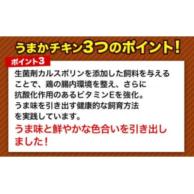 うまかチキン もも+むねハーフセット合計3.41kg 鶏肉《7-14日以内に出荷予定(土日祝除く)》