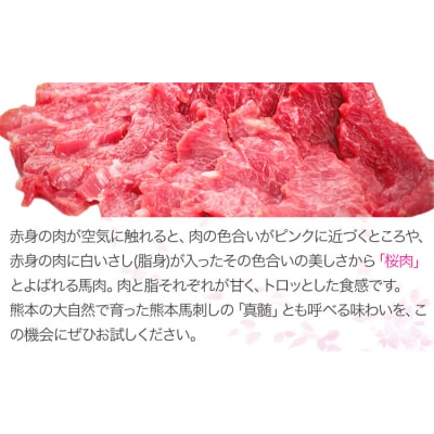 馬刺し 上赤身 ブロック 熊本肥育 100g×15 たれ付き《7-14日以内に出荷予定(土日祝除く)