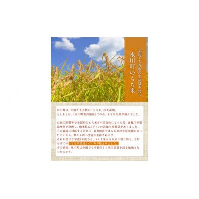 蓮華の花園(もち米) 5kg 精米 JAやつしろカントリー利用組合 熊本県 氷川町