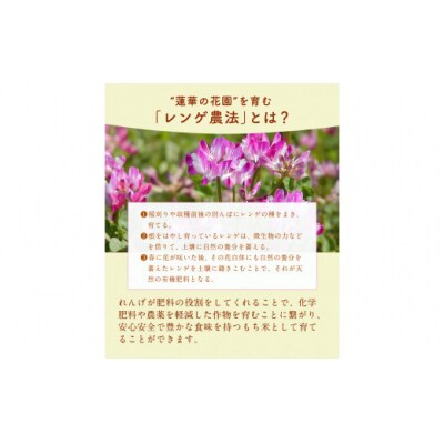 蓮華の花園(もち米) 5kg 精米 JAやつしろカントリー利用組合 熊本県 氷川町