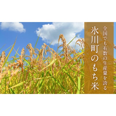 蓮華の花園(もち米) 5kg 精米 JAやつしろカントリー利用組合 熊本県 氷川町
