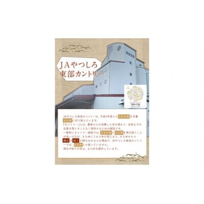 蓮華の花園(もち米) 5kg 精米 JAやつしろカントリー利用組合 熊本県 氷川町