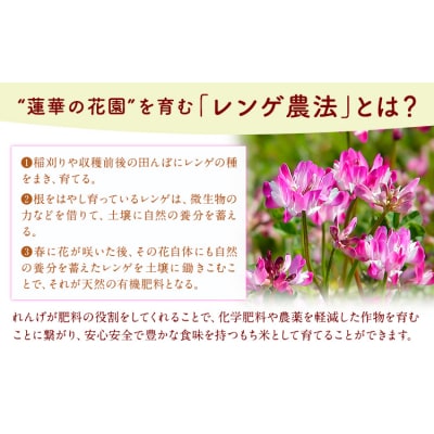 蓮華の花園(もち米) 5kg 精米 JAやつしろカントリー利用組合 熊本県 氷川町