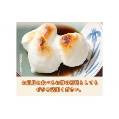 蓮華の花園(もち米) 5kg 精米 JAやつしろカントリー利用組合 熊本県 氷川町