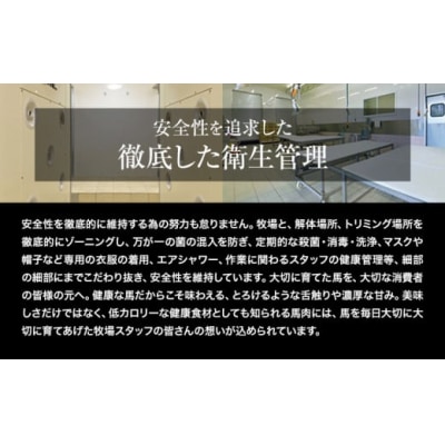馬刺し 国産 馬刺し 赤身 馬刺し 400g 【純国産熊本肥育】 生食用 冷凍