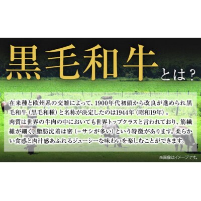くまもと黒毛和牛 サーロインステーキ 内容量 合計250g 牛肉 冷凍