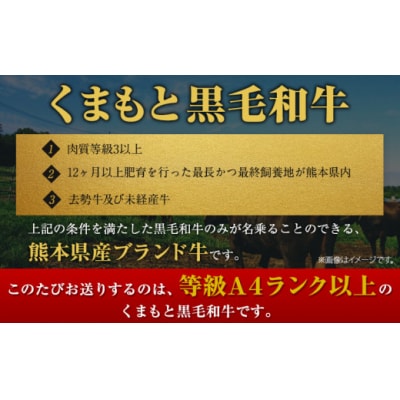 くまもと黒毛和牛 サーロインステーキ 内容量 合計500g 牛肉 冷凍