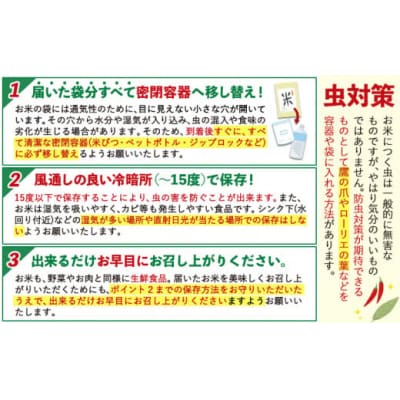 令和7年産 ひのひかり 無洗米 20kg《7-14日以内に出荷予定(土日祝除く)》