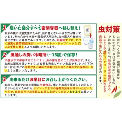 令和7年産 白米 【3ヶ月定期便】 ひのひかり 20kg