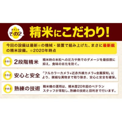 令和7年産 無洗米 【6ヶ月定期便】 ひのひかり 20kg