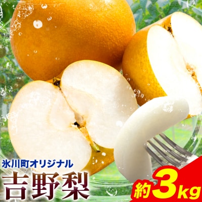 【2026年先行予約】熊本県氷川町産 吉野梨 品種おまかせ 約3kg (2～16玉前後) 