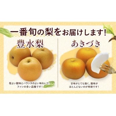 【2026年先行予約】熊本県氷川町産 吉野梨 品種おまかせ 約3kg (2～16玉前後) 