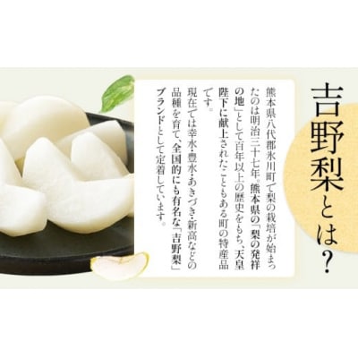 【2026年先行予約】熊本県氷川町産 吉野梨 品種おまかせ 約4kg (2～16玉前後)