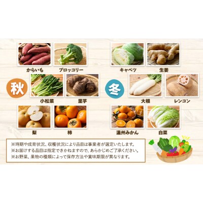 【6ヶ月定期】旬の野菜・果物詰め合わせ 10-15品 氷川町産 道の駅竜北《お申込み月の翌月から出荷