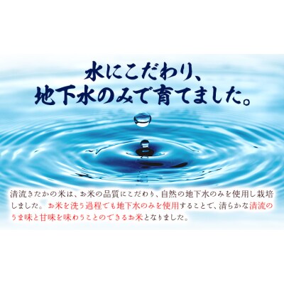 令和7年産 無洗米 清流きたかの米 20kg《2月出荷予定》