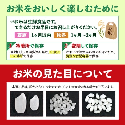 ひごみのり 白米 熊本県産 ブレンド米 10kg 《1-5日以内に出荷予定(土日祝除く)》
