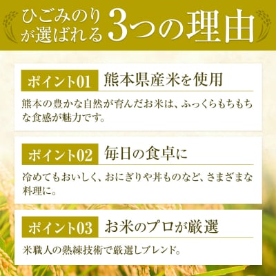 ひごみのり 無洗米 熊本県産 ブレンド米 10kg 《1-5日以内に出荷予定(土日祝除く)》