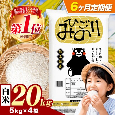 【6ヶ月定期便】ひごみのり 白米 熊本県産 ブレンド米 20kg《お申込み翌月から出荷》