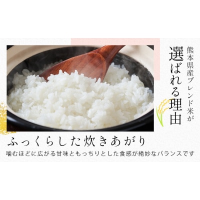 【隔月6回定期便】ひごみのり 無洗米 熊本県産 ブレンド米 10kg 《お申込み翌月から出荷》